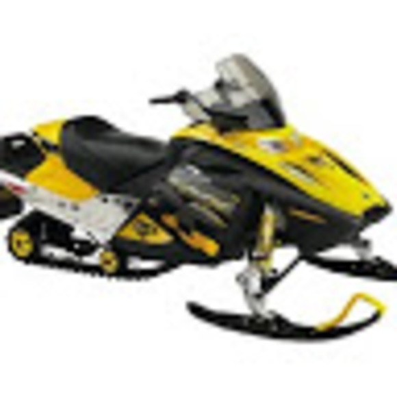 Meet your Posher, Jayden - Picture 1 of 1